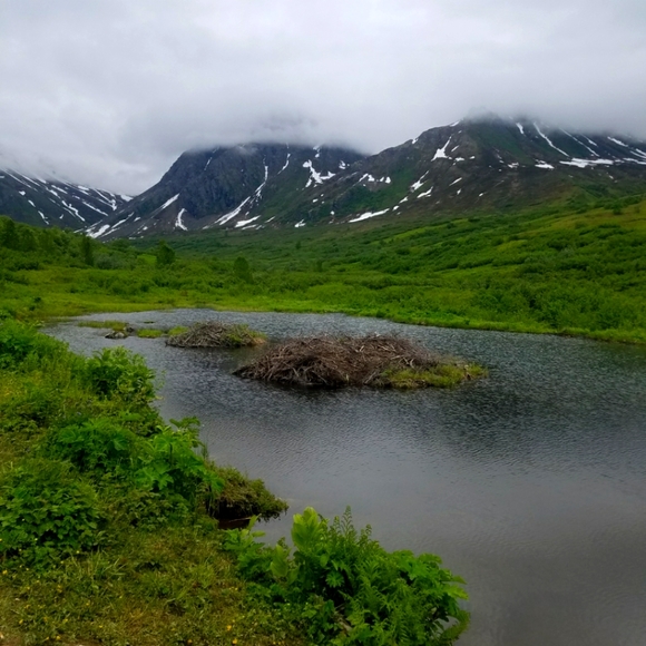 Meet your Posher, Cyndi - Picture 2 of 16